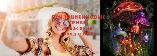 spice Белокуриха