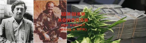 spice Белокуриха