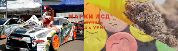 spice Белокуриха