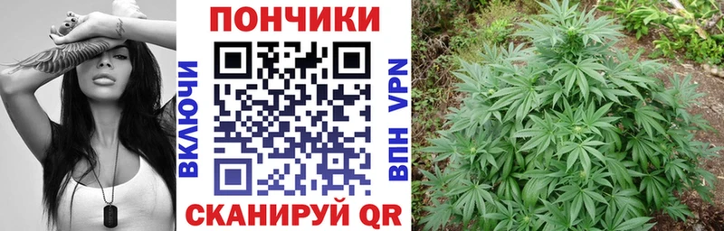 Бошки марихуана конопля Тотьма